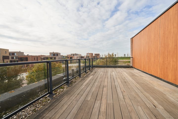 Foto 79 van Wetland 2