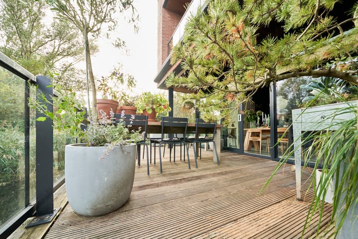 Foto 83 van Wetland 2