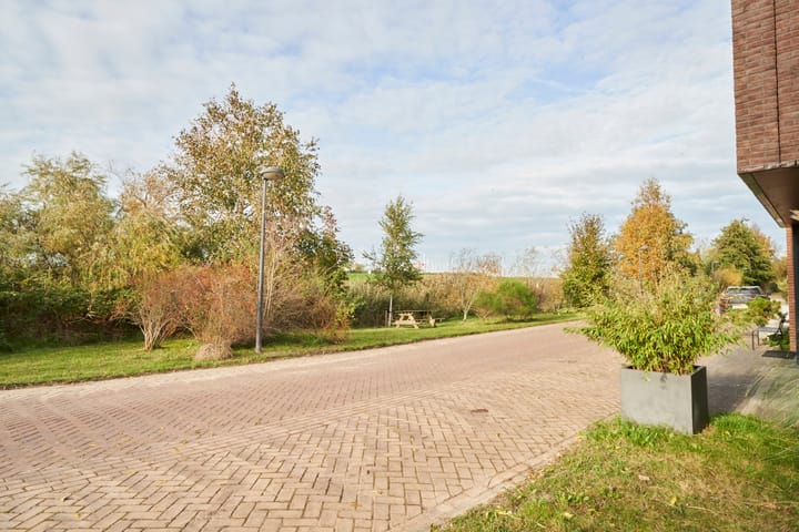 Foto 91 van Wetland 2