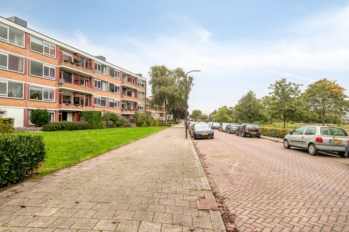 Foto 27 van Albardastraat 104