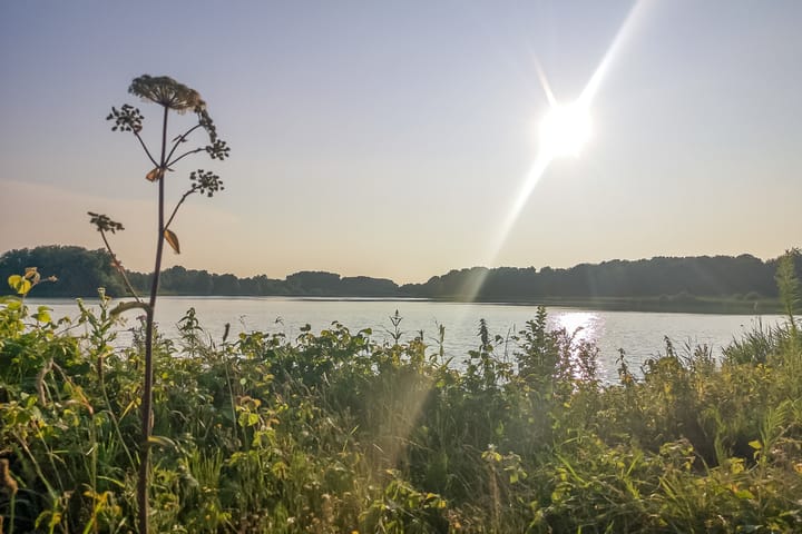 Foto 70 van Bijloort 28