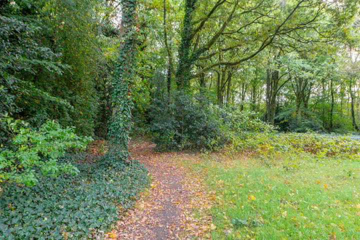 Photo 50 of Laarderweg 110-C