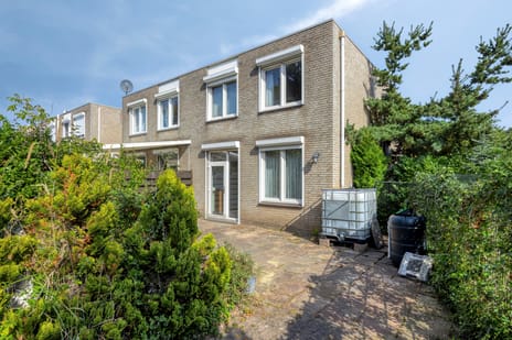 undefined main image