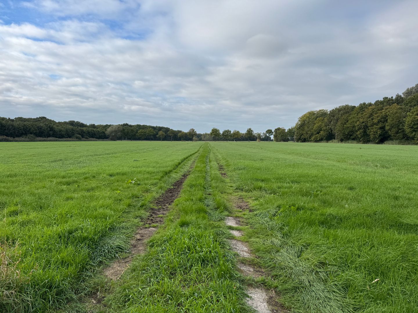 Bekijk foto 3 van Langbroekerdijk