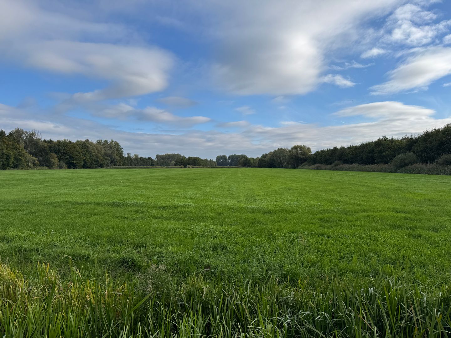 Bekijk foto 4 van Langbroekerdijk