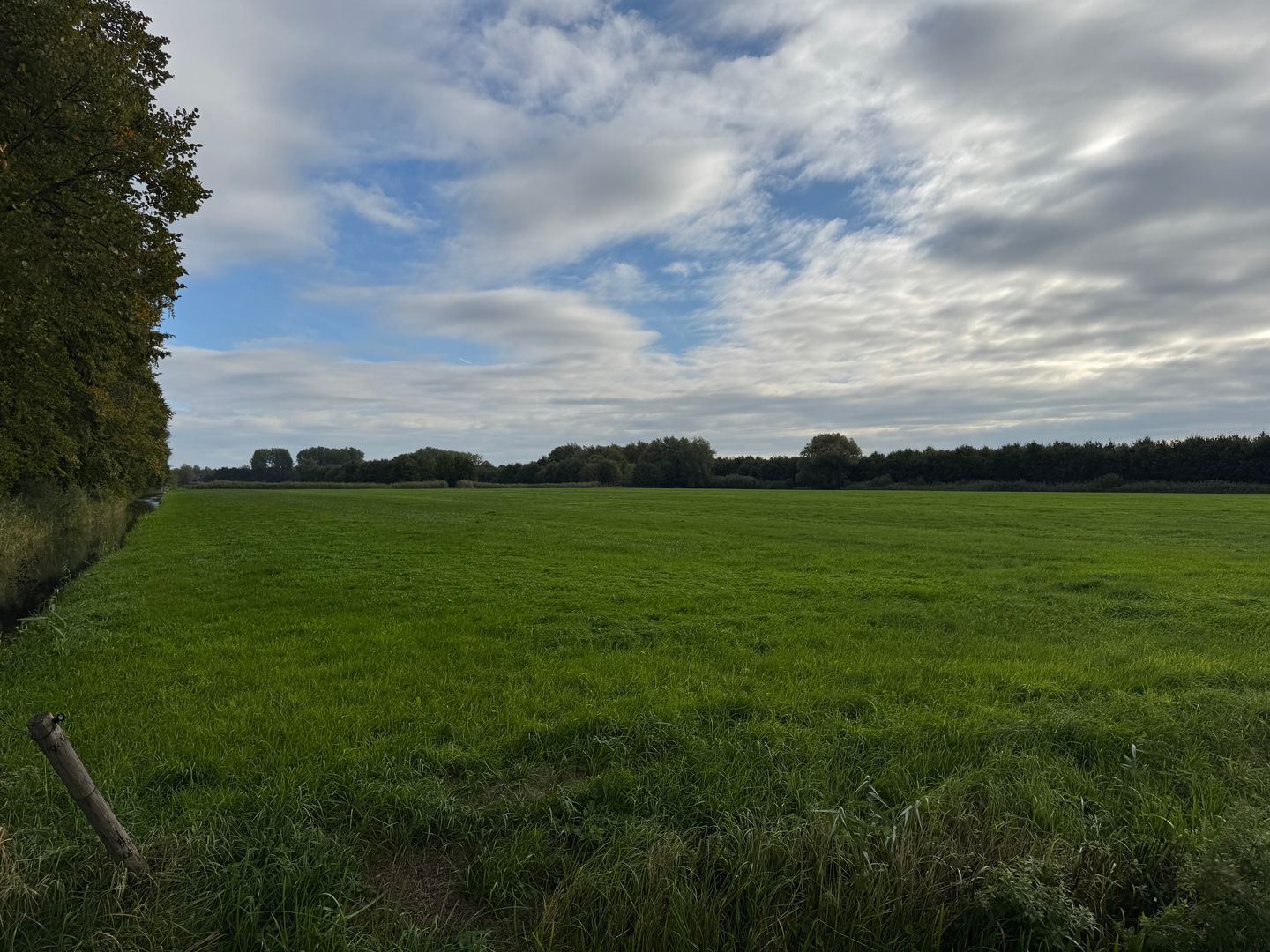 Bekijk foto 5 van Langbroekerdijk