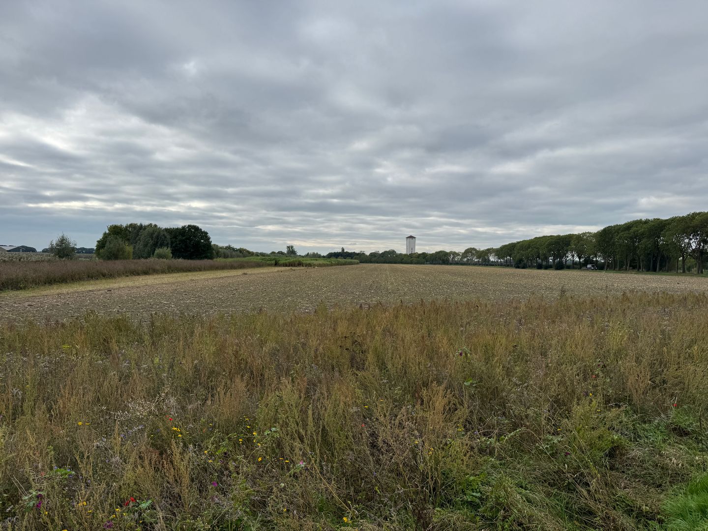 View photo 1 of Watertorenweg