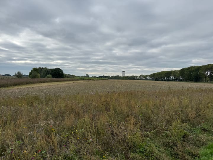 Watertorenweg, Werkhoven