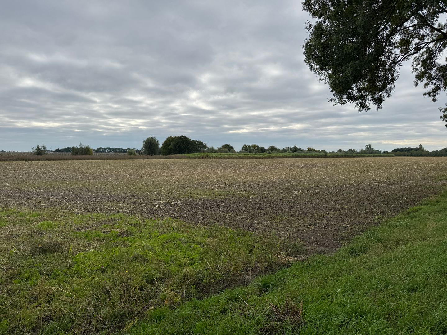 View photo 3 of Watertorenweg