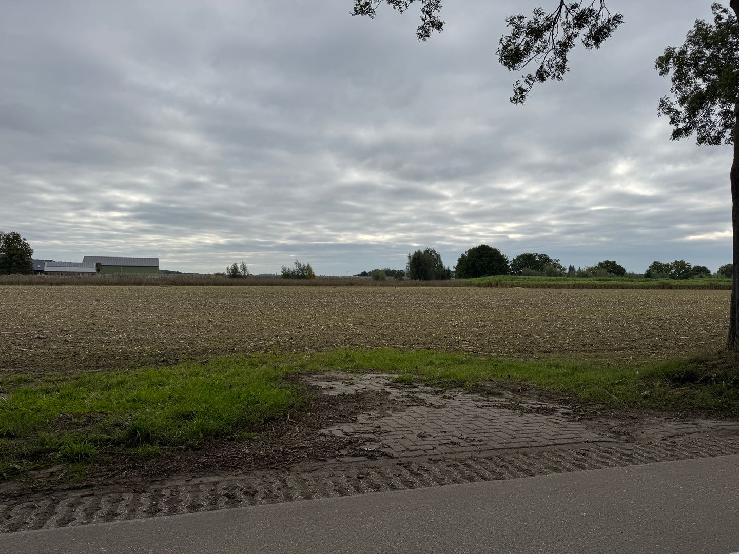 View photo 4 of Watertorenweg