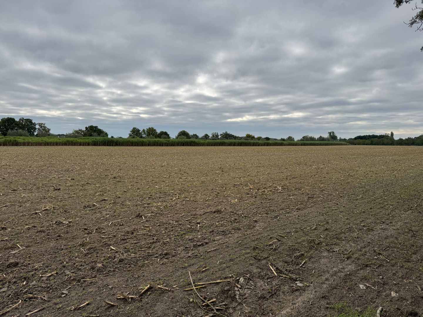 View photo 5 of Watertorenweg
