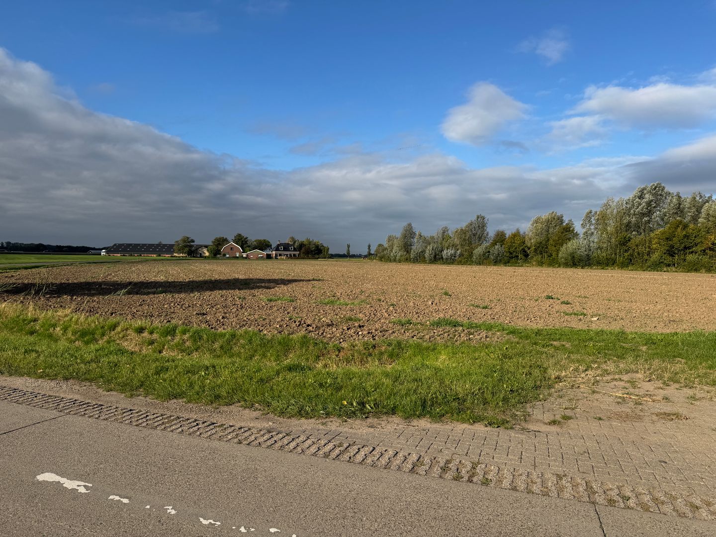 Bekijk foto 4 van Tuurdijk