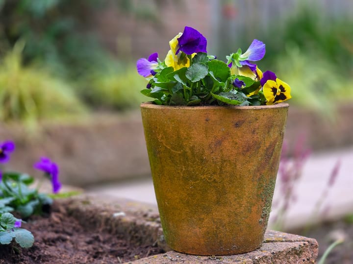 Foto 89 van Lage Weide 4