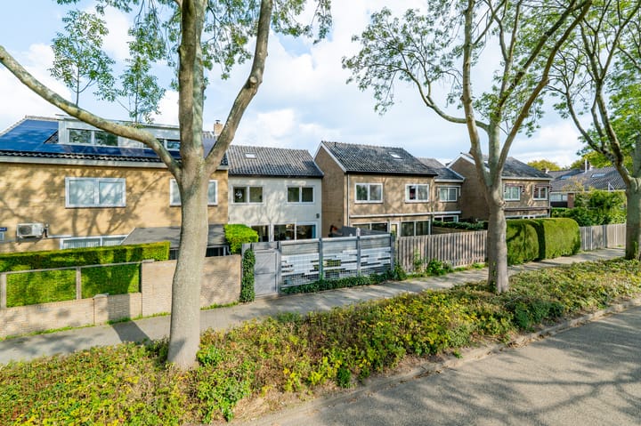 Foto 37 van Torricellistraat 19