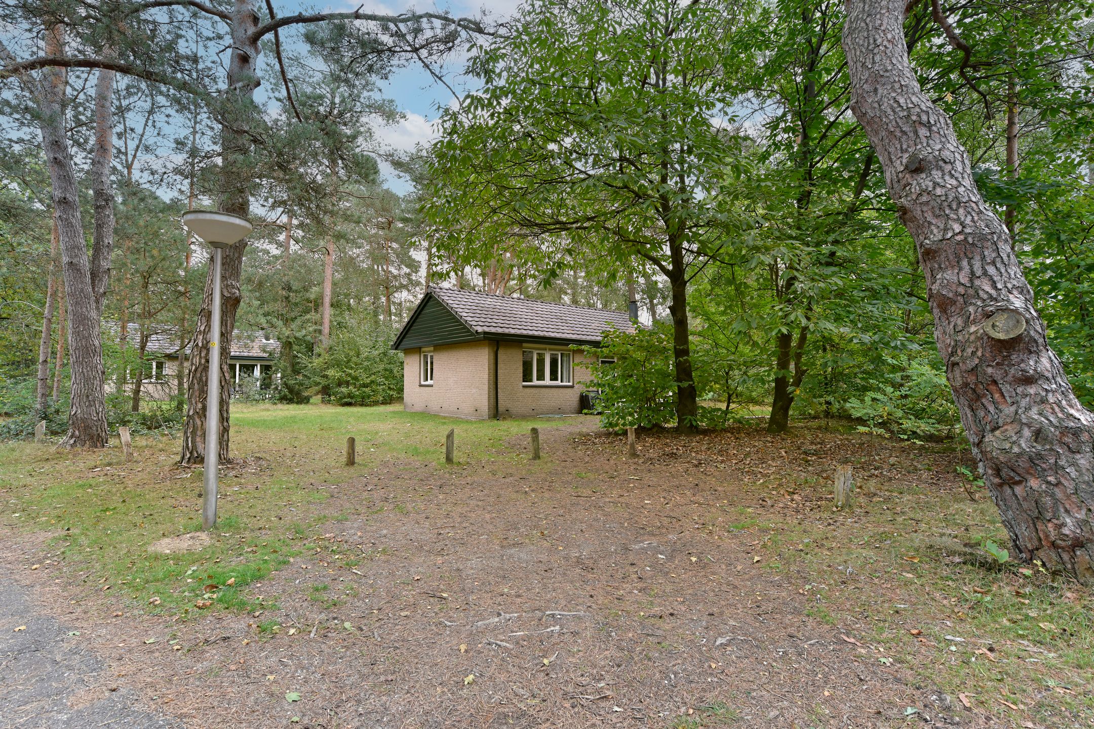 Foto 24 van Grevenhout 21-172