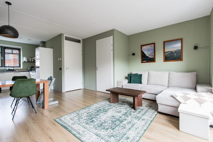 Photo 7 of Tinbergenplantsoen 91