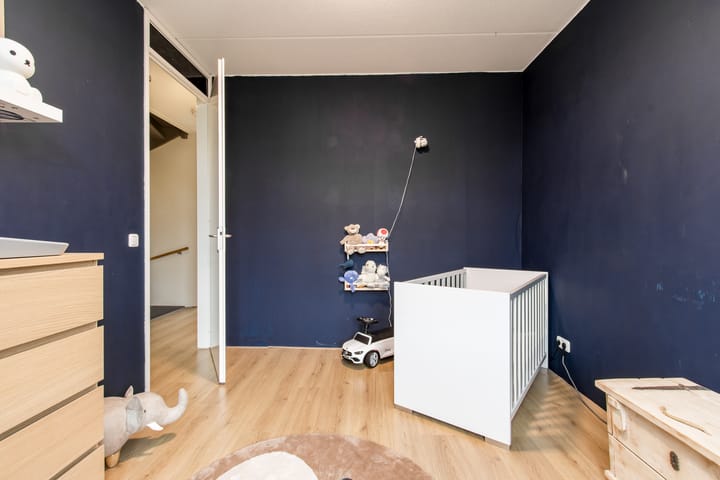 Photo 24 of Tinbergenplantsoen 91