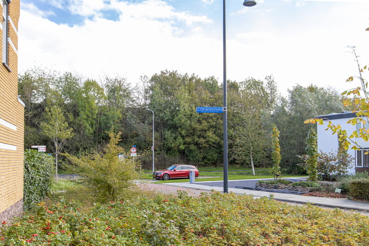 Photo 46 of Tinbergenplantsoen 91