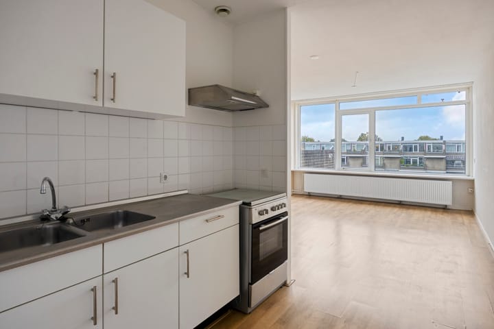 Foto 6 van Bosplaat 101