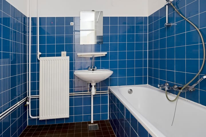 Foto 11 van Bosplaat 101