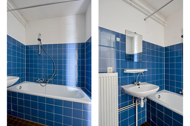 Foto 12 van Bosplaat 101