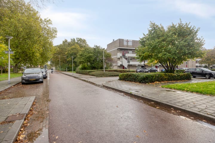 Foto 18 van Bosplaat 101