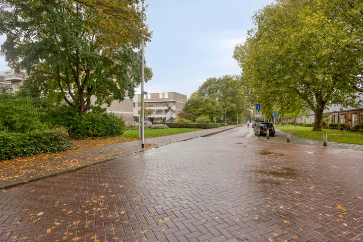 Foto 19 van Bosplaat 101