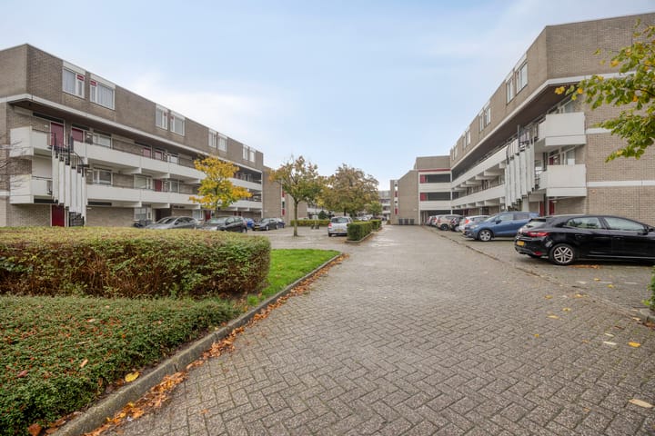 Foto 20 van Bosplaat 101