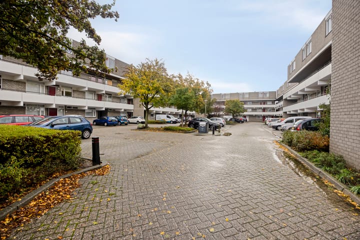 Foto 21 van Bosplaat 101