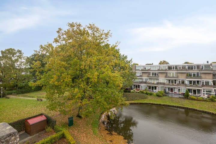 Foto 26 van Bosplaat 101