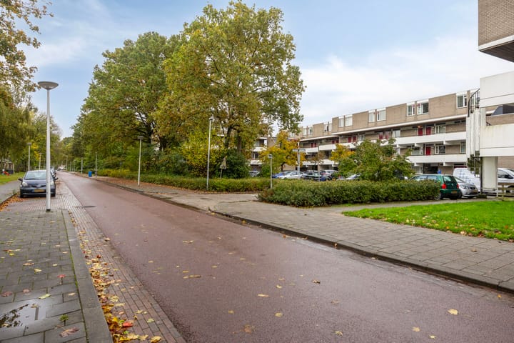 Foto 21 van Rottumerplaat 43