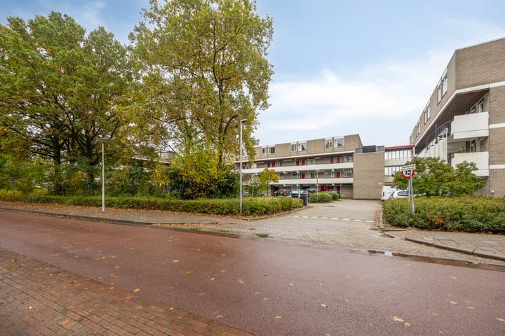 Foto 23 van Rottumerplaat 43