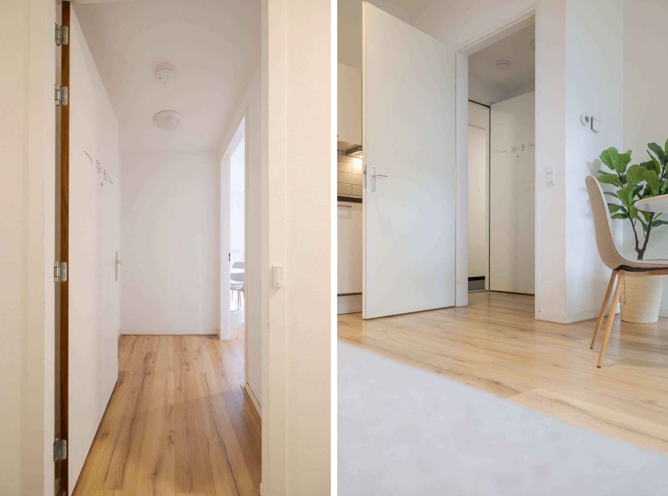 Foto 6 van Velperweg 19-8