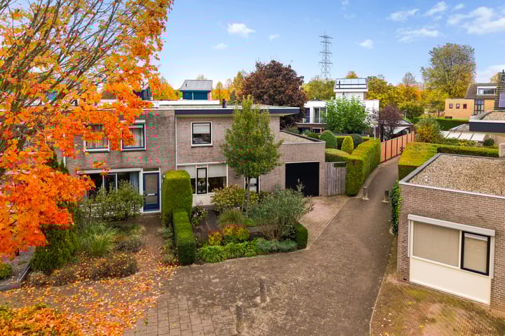 Elstar 19 main image