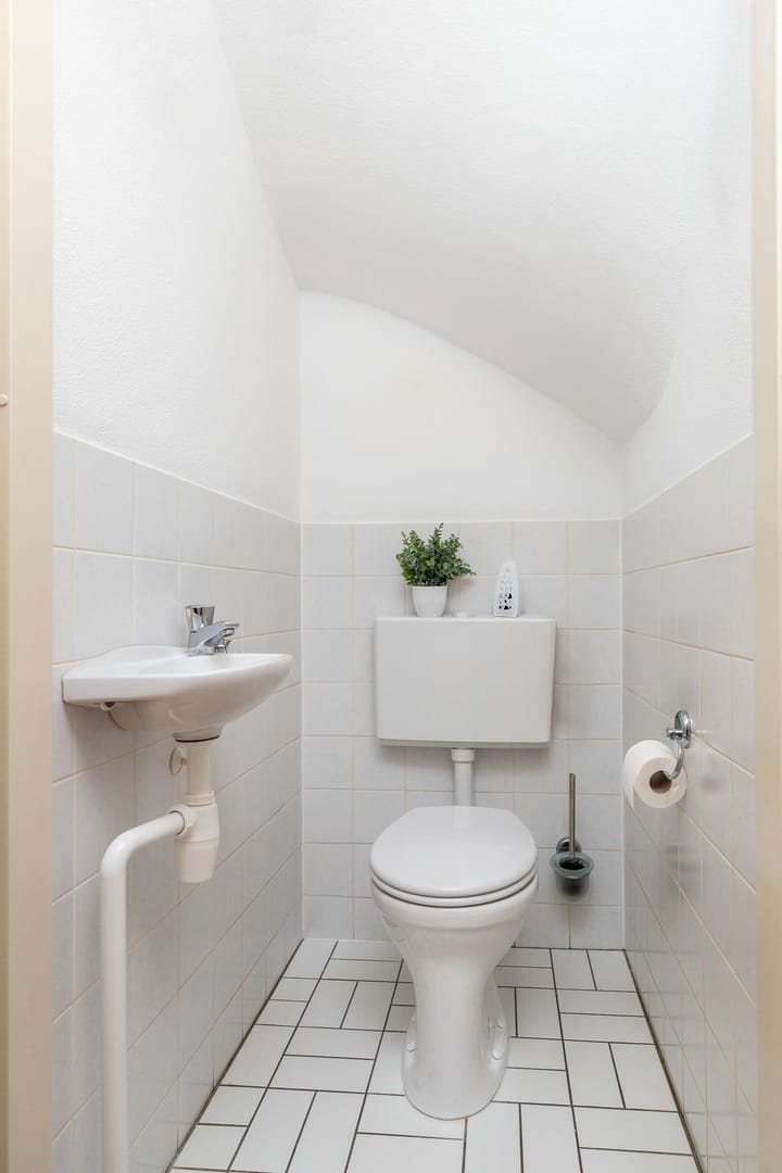 Foto 10 van Elstar 19