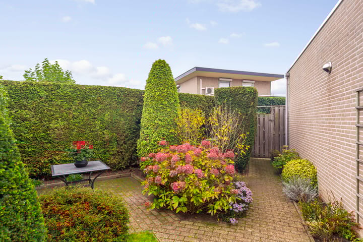 Foto 23 van Elstar 19