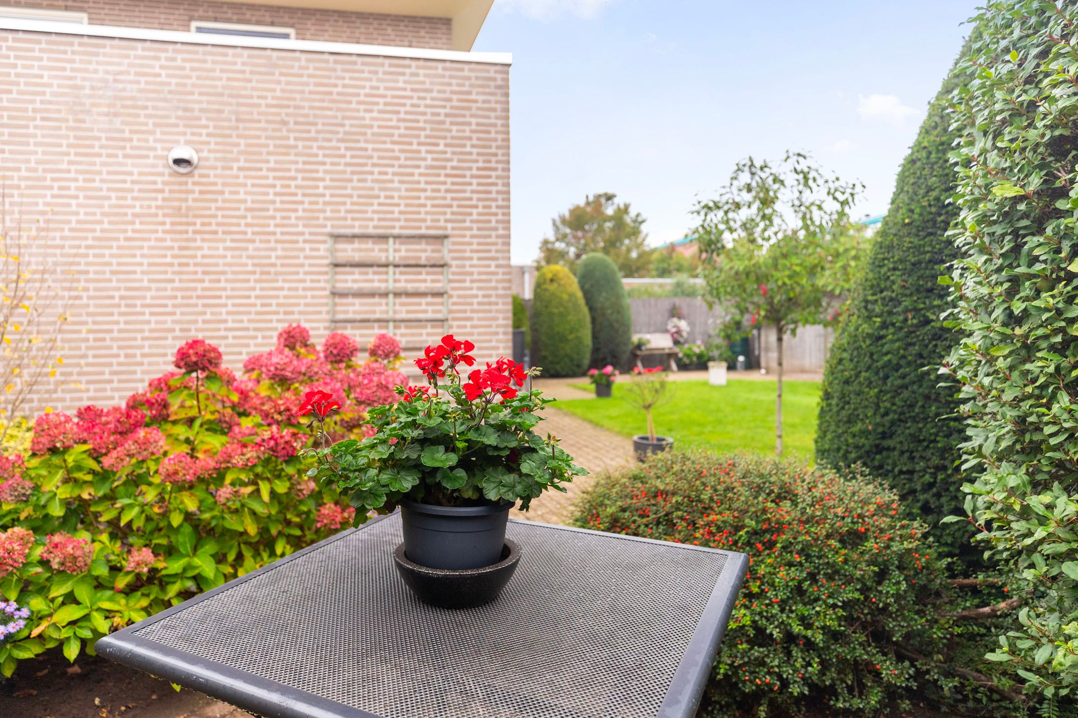 Foto 24 van Elstar 19