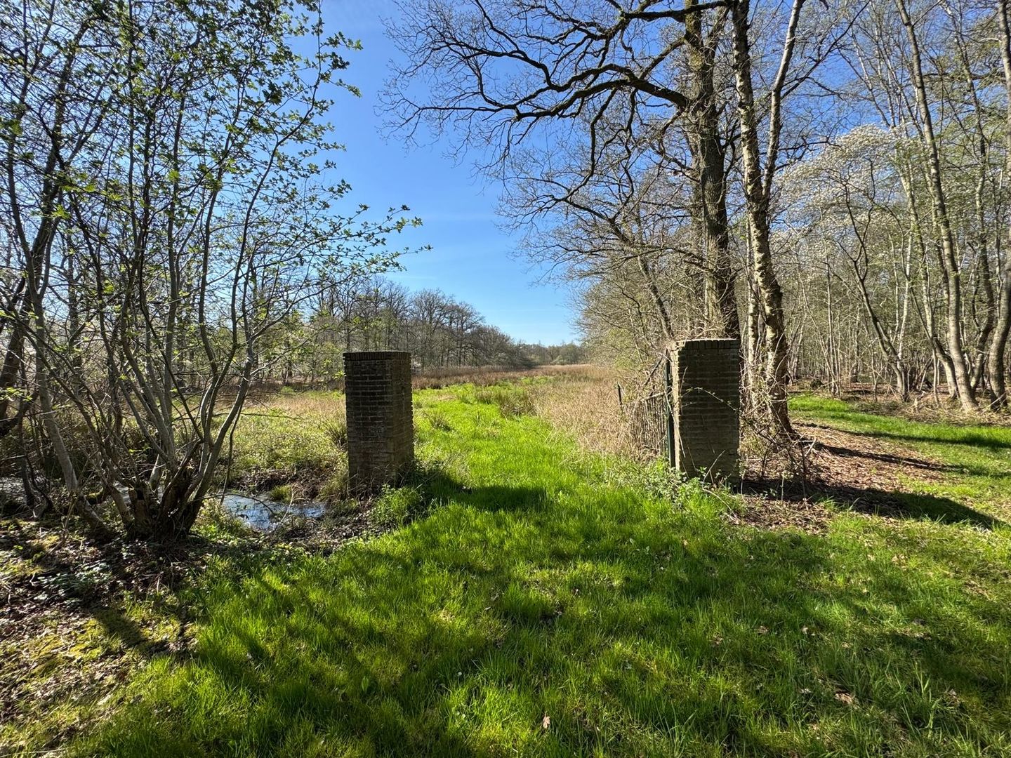 Bekijk foto 3 van Gommelsestraat