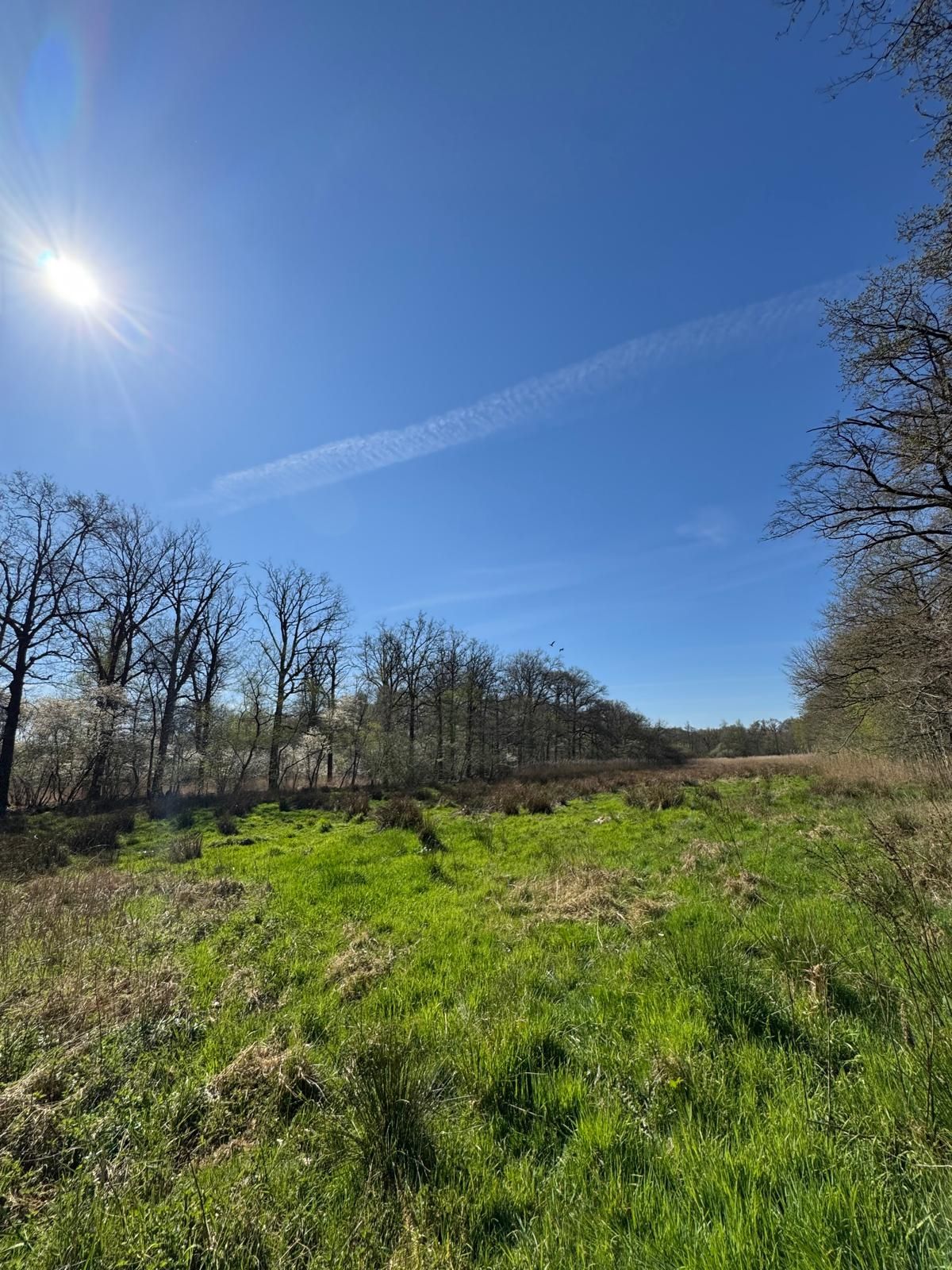 Bekijk foto 1 van Gommelsestraat