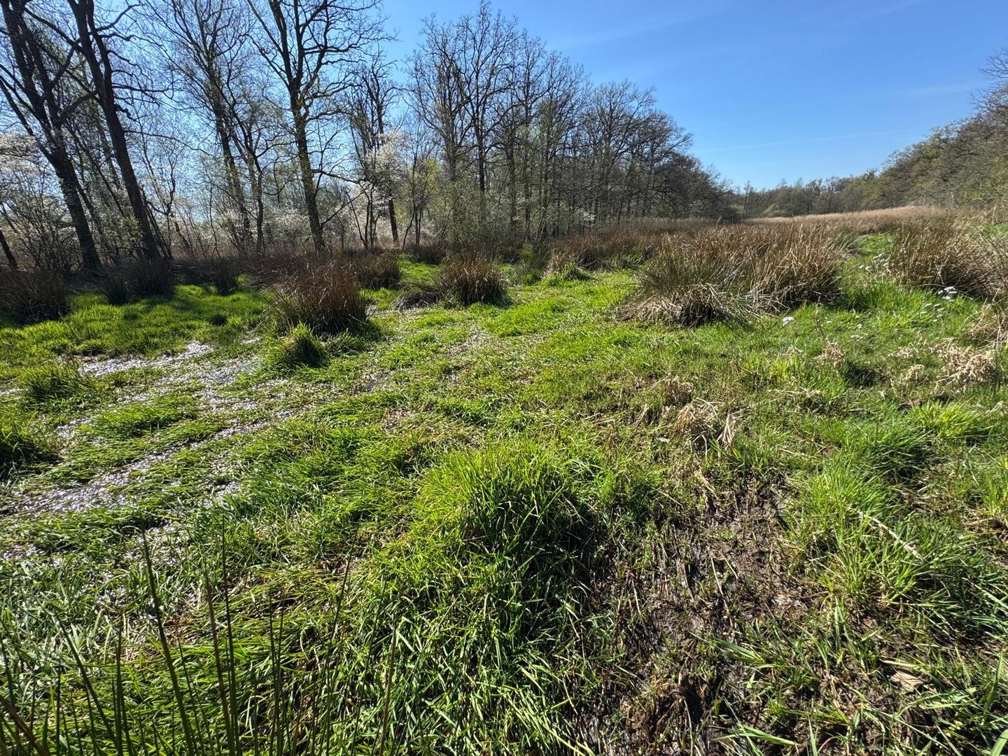 Bekijk foto 2 van Gommelsestraat