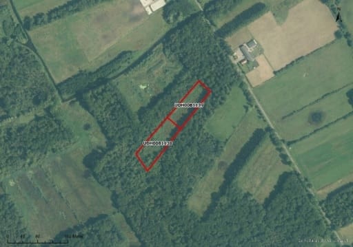 Bekijk foto 5 van Gommelsestraat