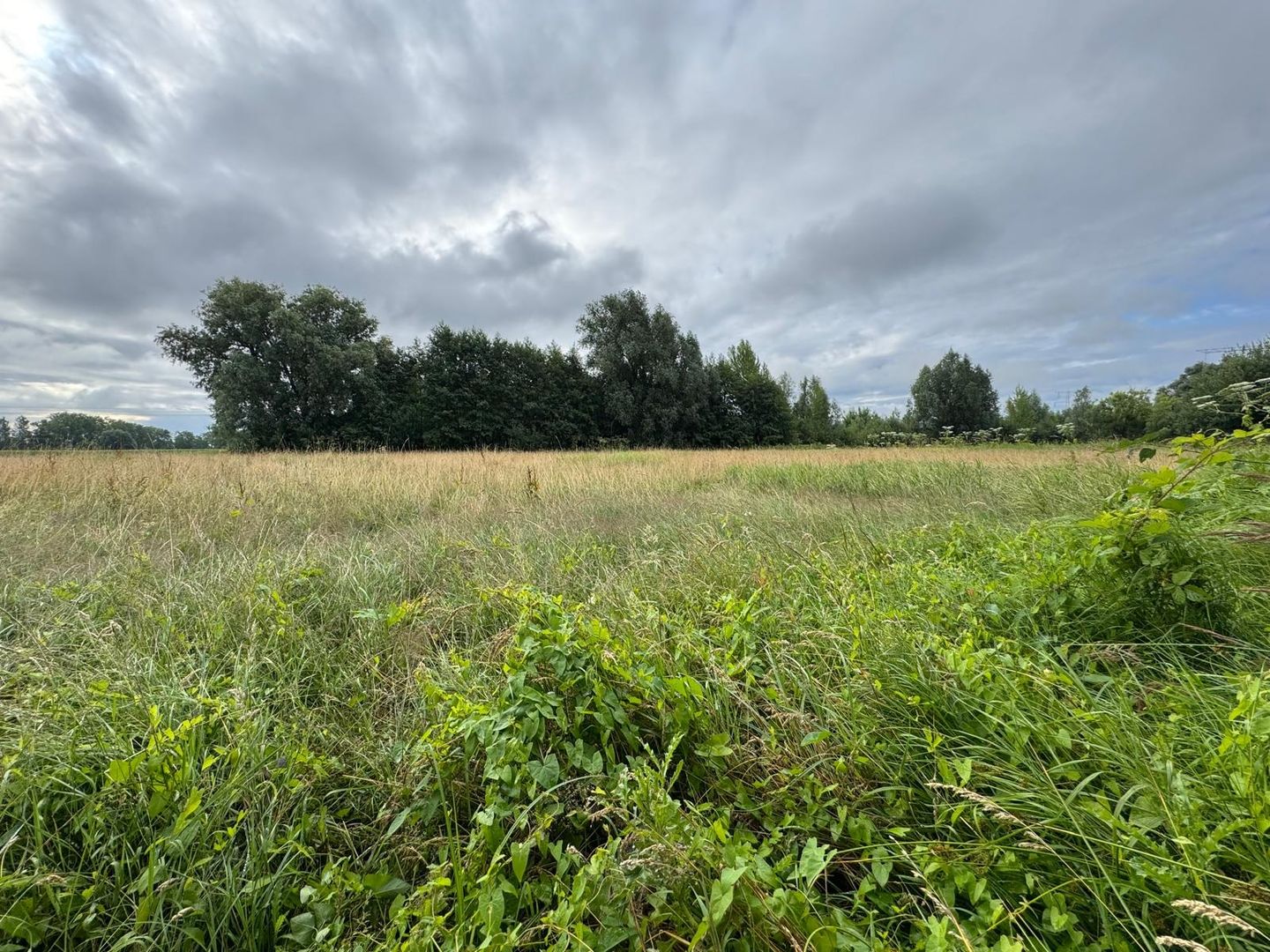 Blekerdijk - Nuenen - Afbeelding 1