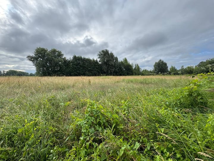 Blekerdijk, Nuenen