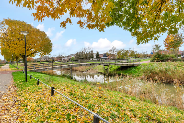 Foto 33 van Kogge 20