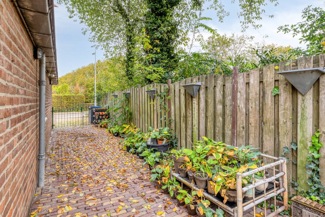 Foto 37 van Tichelaar 1