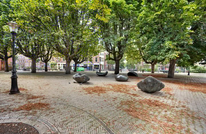 Photo 35 of Vrolikstraat 252-H