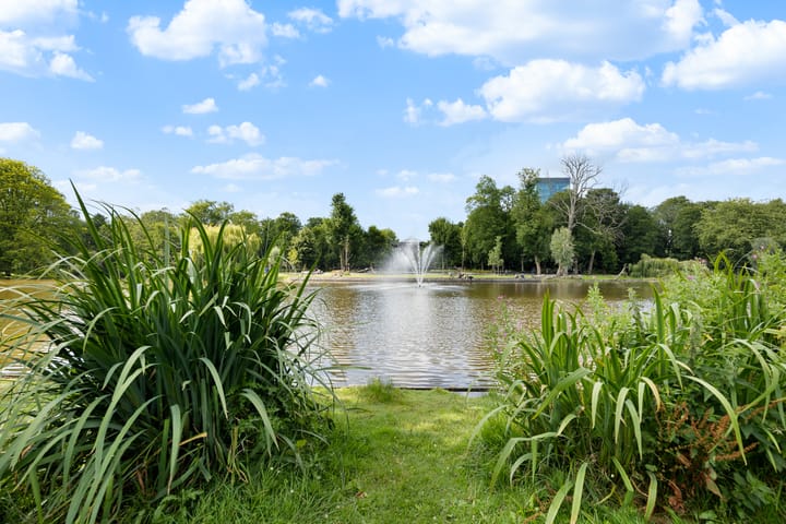 Photo 36 of Vrolikstraat 252-H