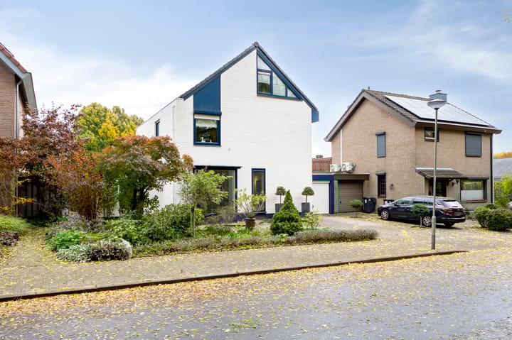 Foto 6 van Rijnbeek 5