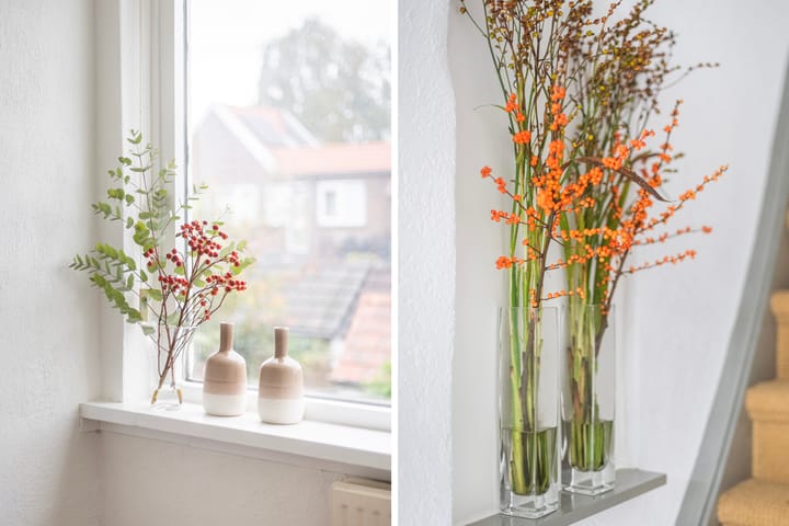 Photo 20 of Geraniumstraat 60