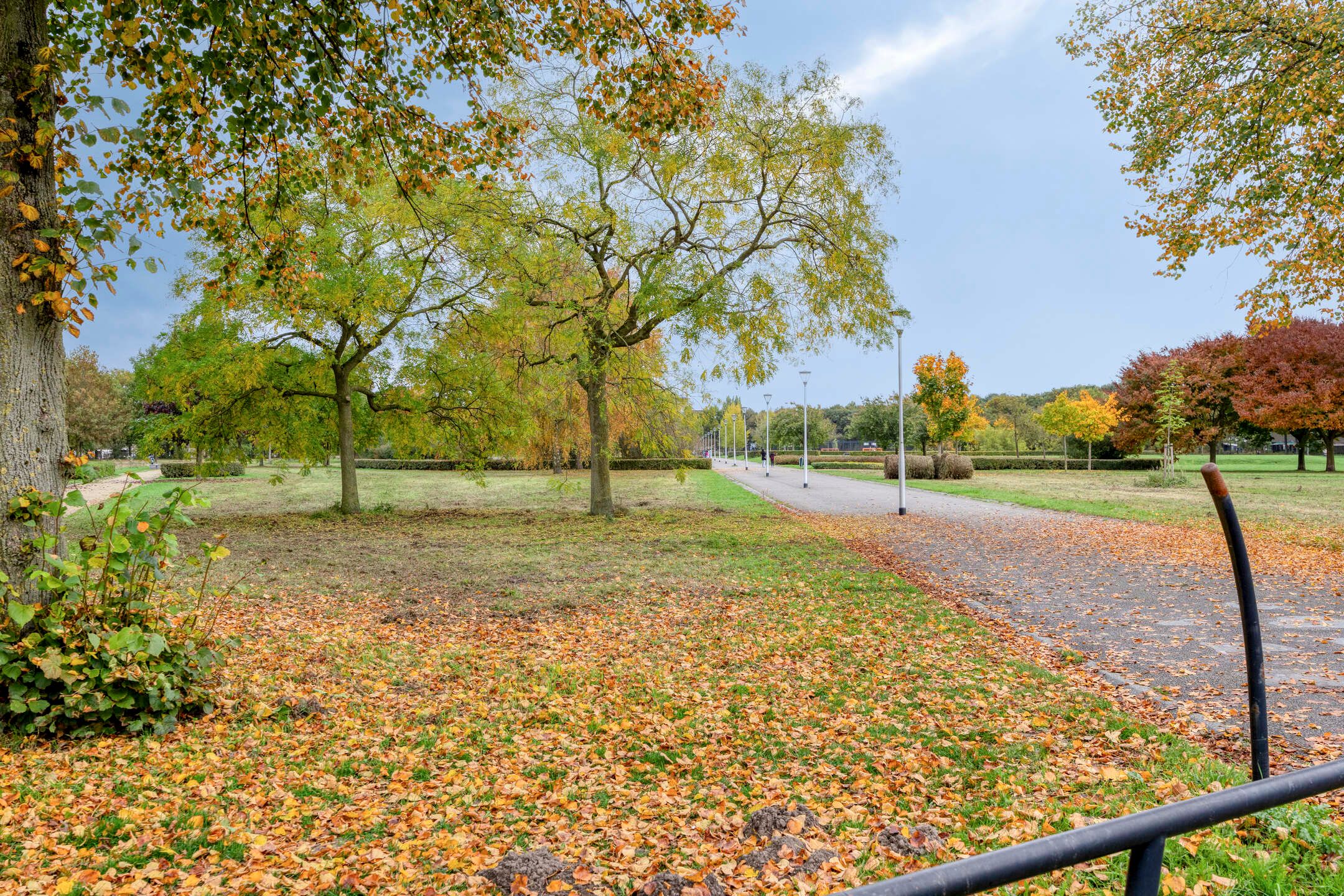 Foto 33 van Herwijnenstraat 42